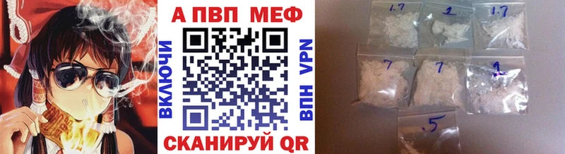 A PVP СК  Светлогорск 