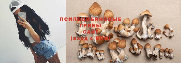экстази Белокуриха