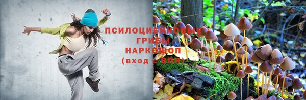 хмурый Белоозёрский