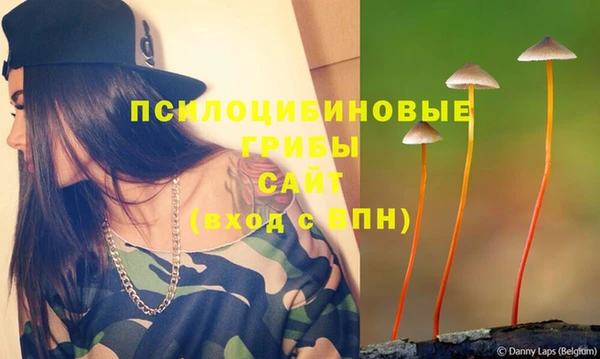 хмурый Белоозёрский