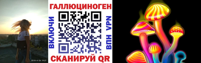 Псилоцибиновые грибы Psilocybe  Светлогорск 